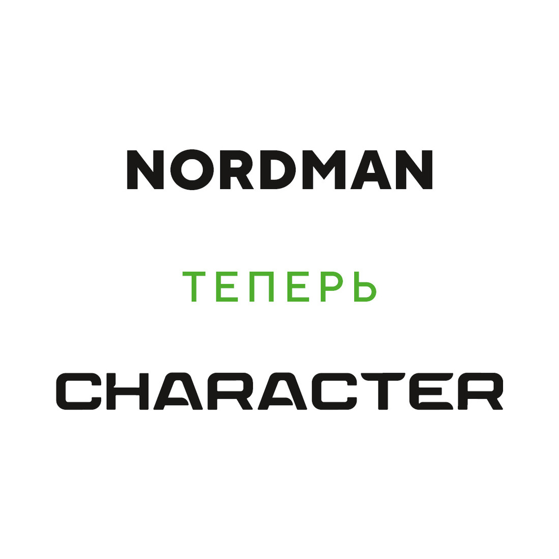 175/65  R14  Ikon (Nokian Tyres) Character Eco (Nordman SX3) 82T Вид 2