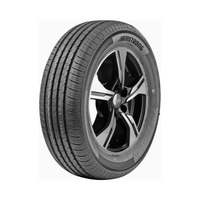 195/65  R15  ARMSTRONG Blu-trac pc 91V