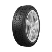 215/65  R17  Triangle WinterX TW401 99V
